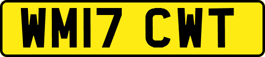 WM17CWT