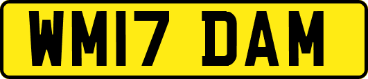 WM17DAM