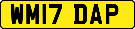 WM17DAP