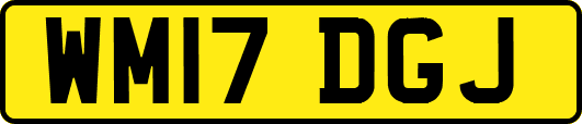 WM17DGJ