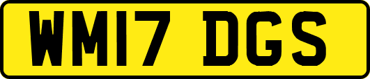 WM17DGS