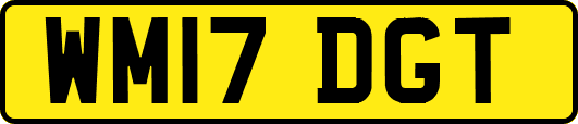WM17DGT