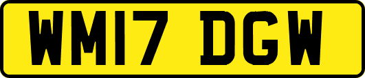 WM17DGW