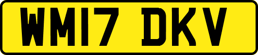 WM17DKV