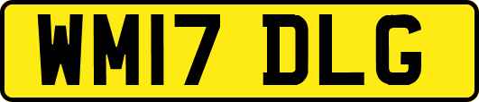 WM17DLG