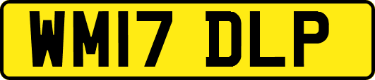 WM17DLP
