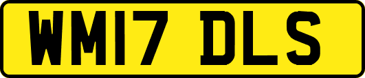 WM17DLS
