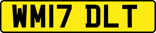 WM17DLT