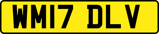 WM17DLV