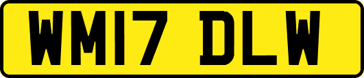 WM17DLW