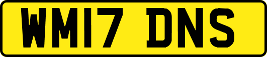 WM17DNS