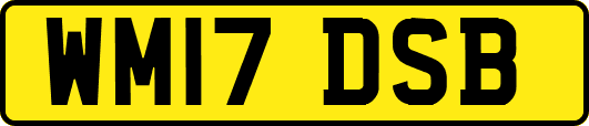 WM17DSB