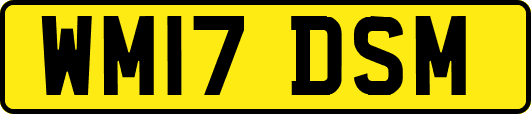 WM17DSM