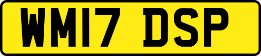 WM17DSP