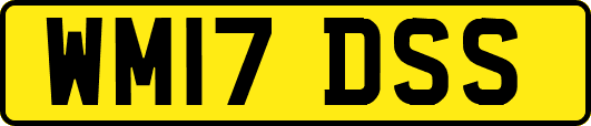 WM17DSS