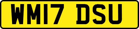 WM17DSU