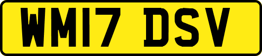 WM17DSV