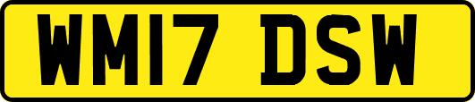 WM17DSW