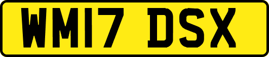 WM17DSX