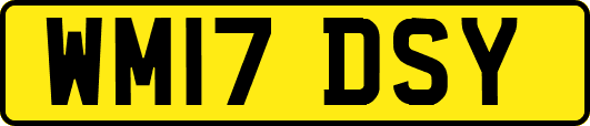 WM17DSY