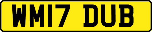WM17DUB