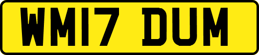 WM17DUM