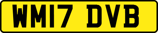 WM17DVB