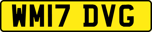 WM17DVG
