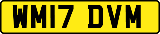 WM17DVM