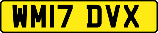 WM17DVX