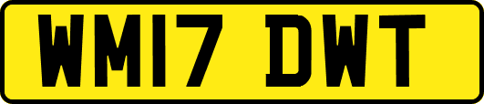 WM17DWT
