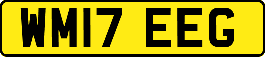 WM17EEG
