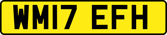WM17EFH