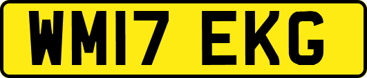 WM17EKG