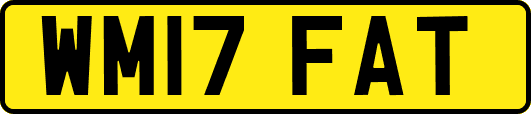 WM17FAT