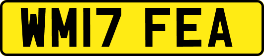 WM17FEA