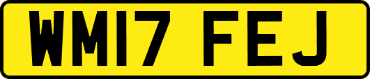 WM17FEJ