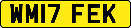 WM17FEK