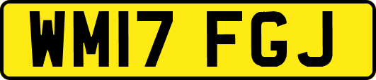 WM17FGJ