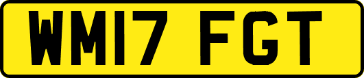 WM17FGT
