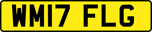WM17FLG