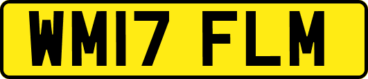 WM17FLM