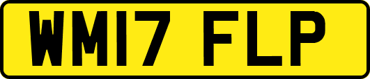 WM17FLP