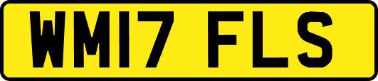 WM17FLS