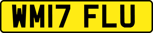 WM17FLU