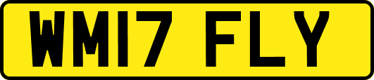 WM17FLY