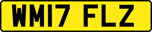 WM17FLZ
