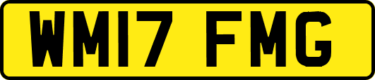 WM17FMG