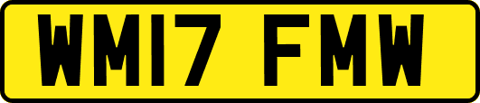 WM17FMW