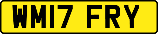 WM17FRY